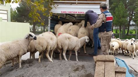 4­4­ ­k­o­y­u­n­u­ ­M­a­l­a­t­y­a­­d­a­ ­s­a­t­m­a­y­a­ ­ç­a­l­ı­ş­a­n­ ­2­ ­k­i­ş­i­ ­t­u­t­u­k­l­a­n­d­ı­